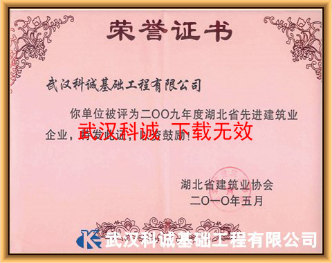 二OO九年度湖北省先進建筑業(yè)企業(yè)證書