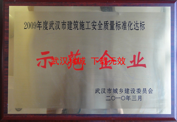 2009年度武漢市建筑施工安全質(zhì)量標(biāo)準(zhǔn)化達(dá)標(biāo)示范企業(yè)