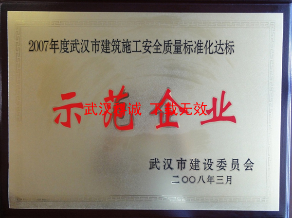 2007年度武漢市建筑施工安全質(zhì)量標(biāo)準(zhǔn)化達(dá)標(biāo)示范企業(yè)