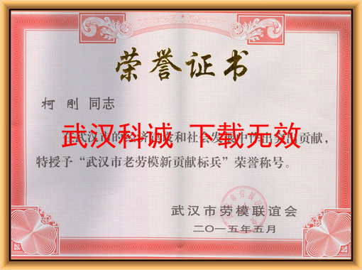 武漢市老勞模新貢獻(xiàn)標(biāo)兵證書(shū)